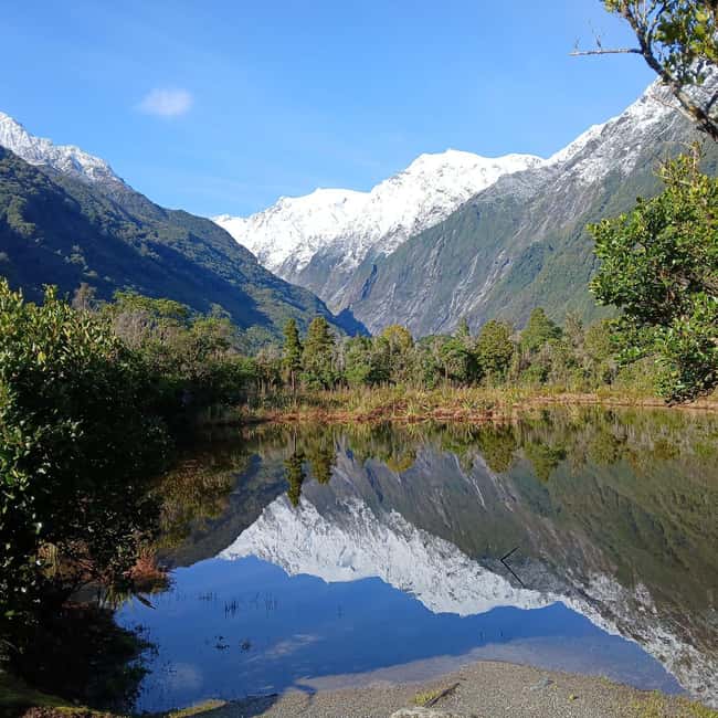 image n.12 of Franz Josef: Franz Josef Glacier Lookout Guided Walk activity in Franz Josef Town, uploaded by supplier