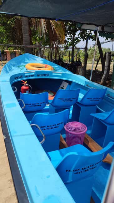 image n.3 of Trincomalee: Dolphin & Whale Watching Boat Tour activity in Nilaveli, uploaded by supplier