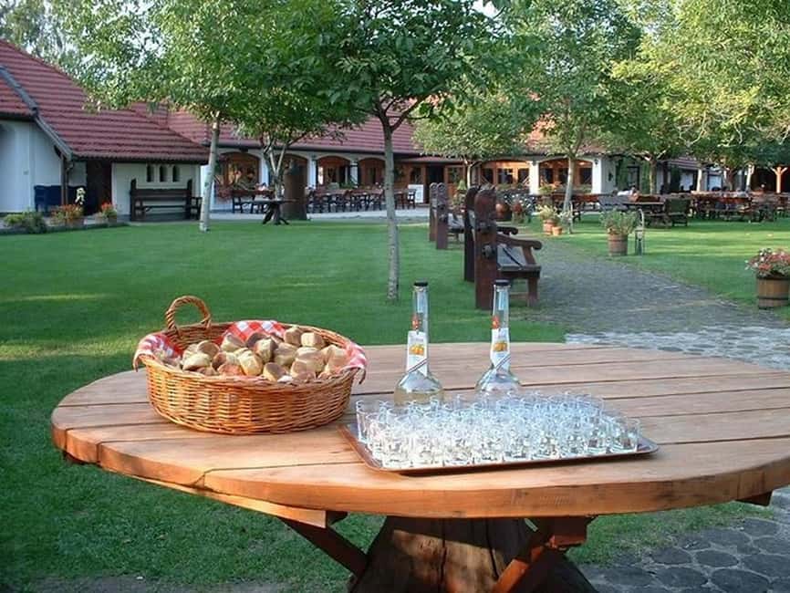 image n.7 of From Budapest: Puszta Horse Show and Countryside Visit activity in Budapest, uploaded by supplier