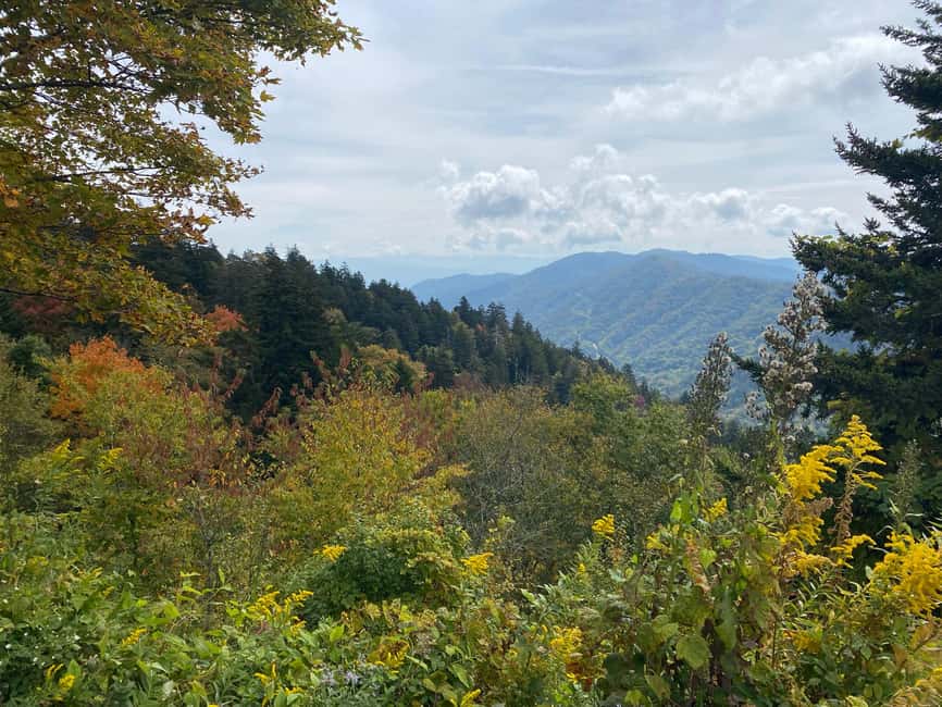 image n.5 of Gatlinburg: Great Smoky Mountains National Park Classic Tour activity in Bryson City, uploaded by supplier