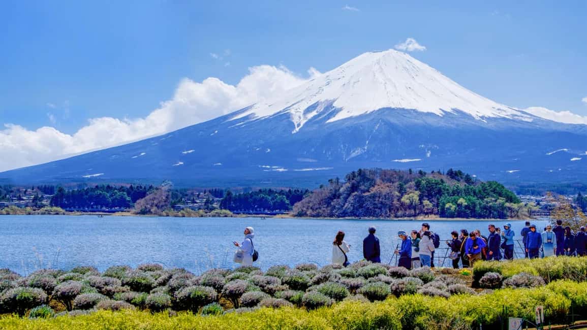obrázek č.11 aktivity Tokio: Celodenní výlet po šesti majestátních místech hory Fuji v destinaci Fujikawaguchiko, nahraný poskytovatelem aktivity