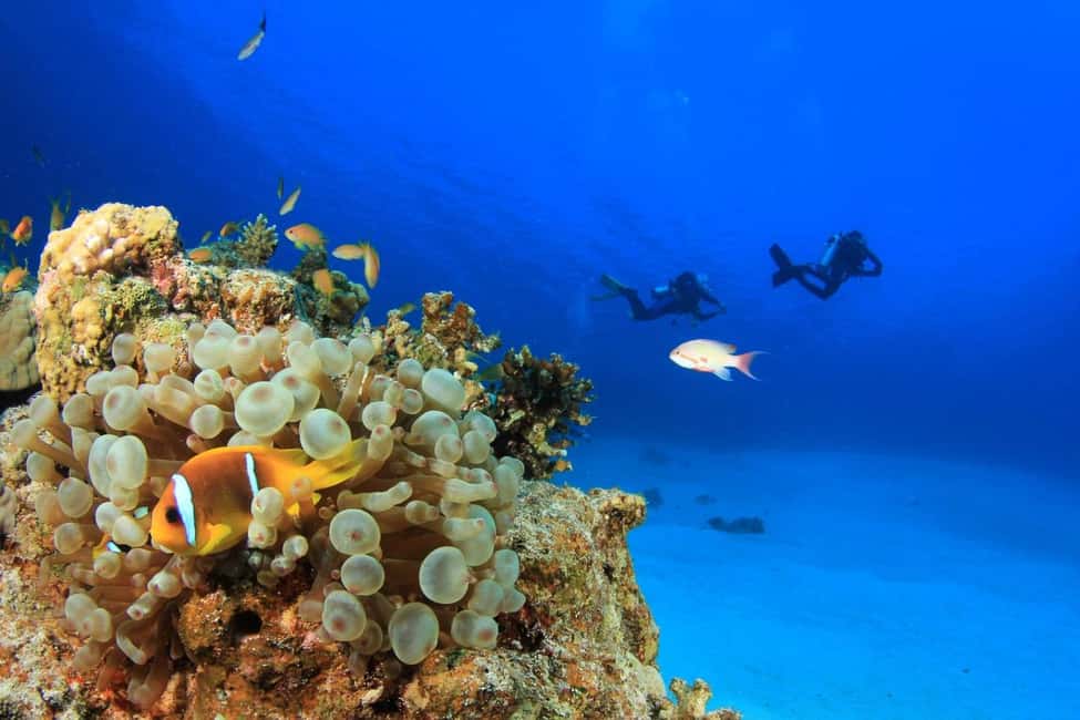 Immagine nº 45 di Hurghada: Escursione di un giorno a Orange Bay con sport acquatici e pranzo attività a Governatorato del Mar Rosso, caricata dal fornitore