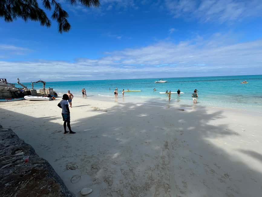 Image N°58 de Nassau : Plongée en apnée dans les récifs, tortues, déjeuner et club de plage privé activité à Bahamas, publiée par le prestataire