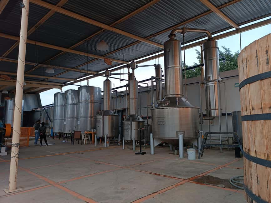 image n.4 of From Guadalajara: Tequila Tour with Tastings activity in Guadalajara, uploaded by supplier