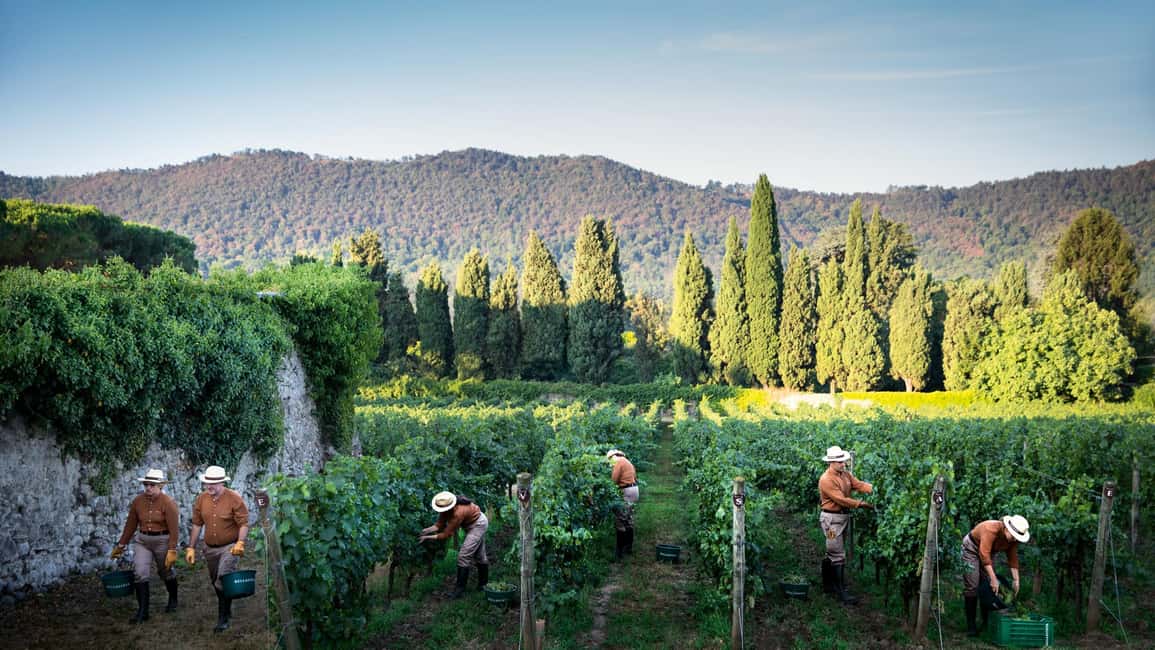 Obraz nr 32 z atrakcji Z Mediolanu: Wycieczka winiarska nad jezioro Iseo, Bergamo i Franciacorta w Lombardia, przesłany przez organizatora