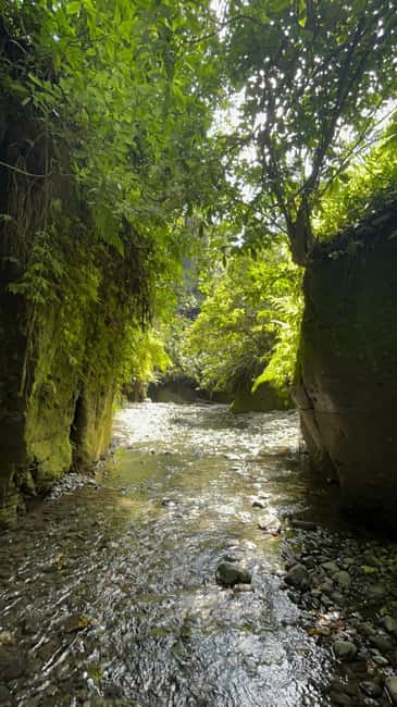 image n.12 of Arusha: Napuru Waterfalls Guided Hike activity in Arusha (Region), uploaded by supplier