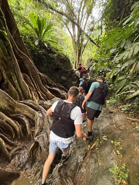 image n.14 of San Juan: El Yunque Half-Day Guided Tour with Transportation activity in Río Grande, Puerto Rico, uploaded by supplier