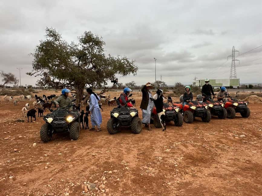 imagen n.º 7 de Agadir: Quad en quad y cabras en los árboles de argán con té actividad en Agadir, subida por el proveedor