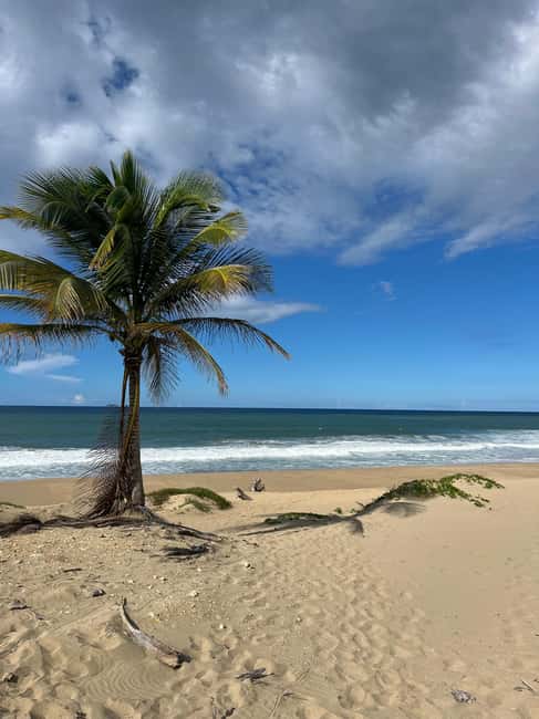 image n.9 of San Juan - Arecibo: midwest expedition waterfalls and beach activity in Manatí, uploaded by supplier