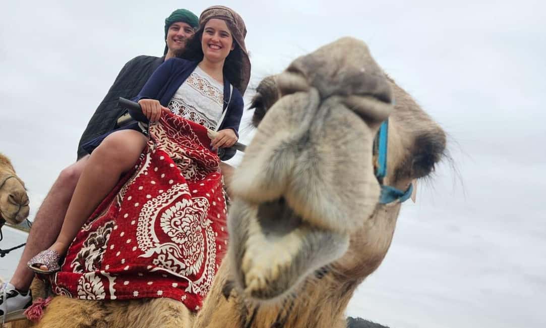 imagen n.º 1 de Desde Agadir: Paseo en Camello y Excursión a los Flamencos actividad en Sus-Masa-Draa, subida por el proveedor