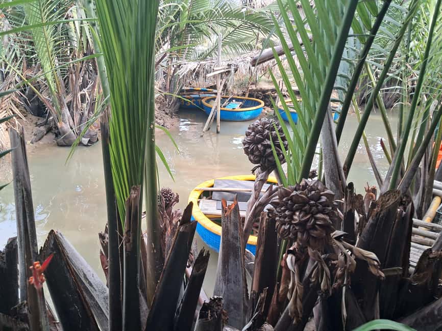 image n.8 of Hoi An: My Son Sanctuary with Basket Boat and Lunch Options activity in Hoi An, uploaded by supplier