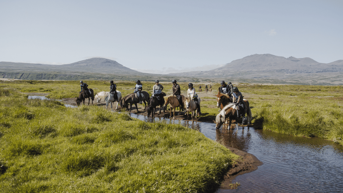 image n.3 of Borgarnes: Horseback Riding Tour with Prep Lesson activity in Western Region, Iceland, uploaded by supplier