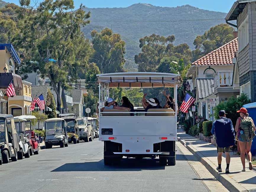 imagen n.º 4 de Excursión por la ciudad de la Isla Catalina y el monte Ada actividad en Avalon, subida por el proveedor