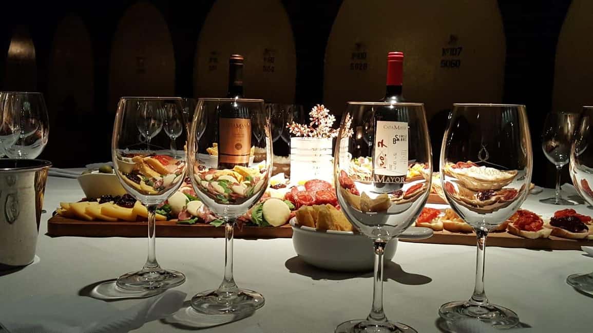 Immagine nº 1 di Tour della cantina Castillo Viejo e degustazione premium attività a Montevideo, caricata dal fornitore