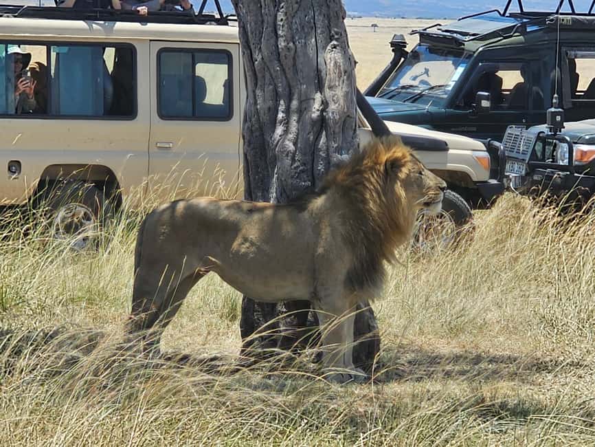 image n.10 of Mombasa: Tsavo East National Park Day Trip with Lunch activity in Coast Province, uploaded by supplier