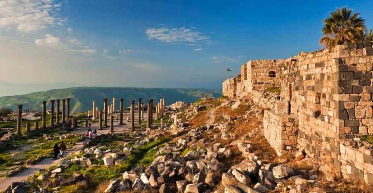 afbeelding n.15 van Vanuit Amman: Jerash, Ajloun kasteel of Umm Qais privétour activiteit in Ajlun, geüpload door aanbieder