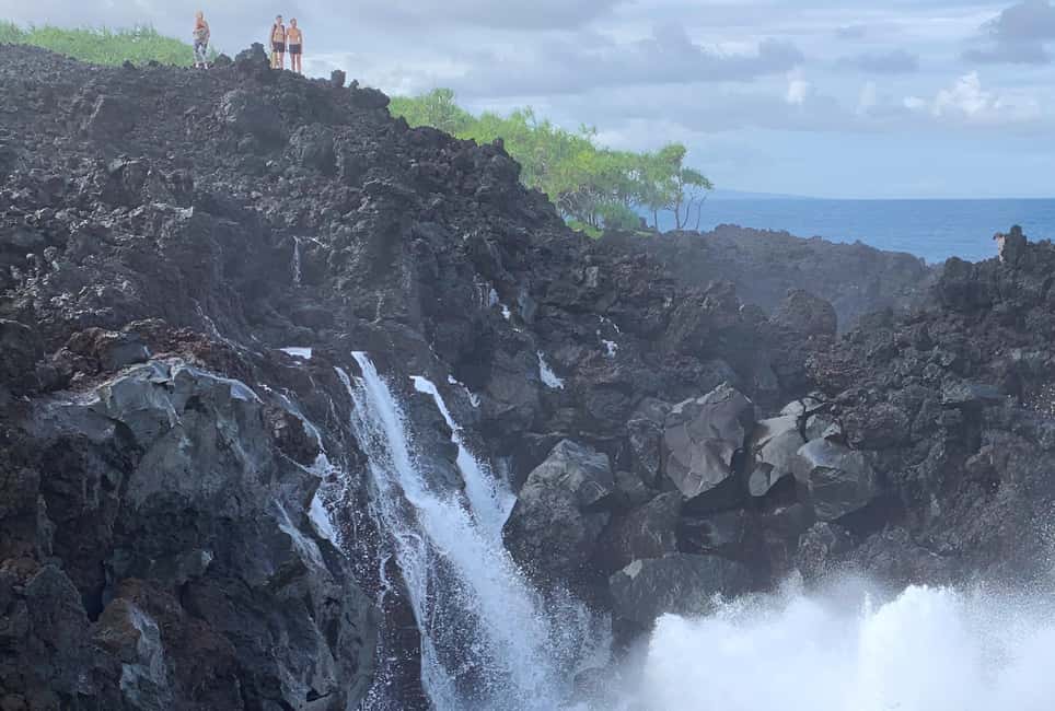 Immagine nº 3 di Escursione alle pozze di marea segrete - Giungla e costa - Privato attività a Pahoa, caricata dal fornitore
