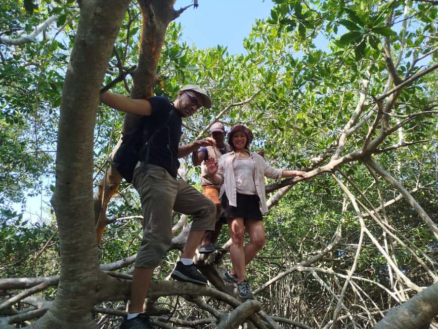 image n.48 of Cartagena: Private Sail in the mangrove GUIDE in ENGLISH activity in Cartagena, uploaded by supplier