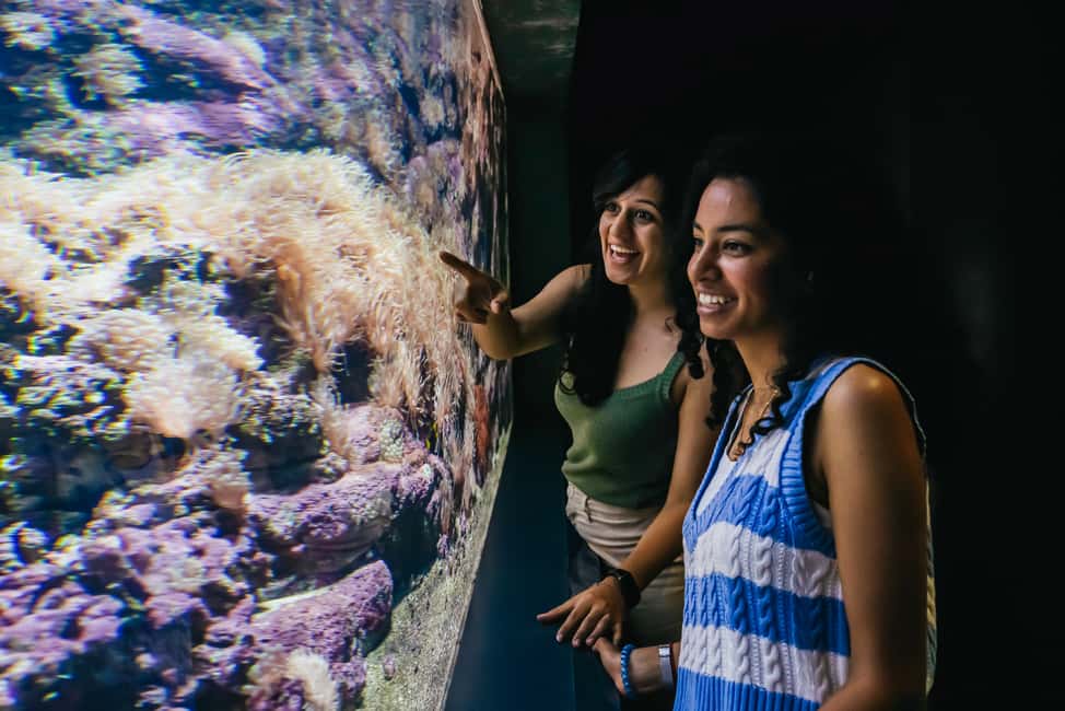 Bild Nr. 16 von Gebiet Heraklion: CRETAquarium Eintrittskarte Aktivität in Heraklion, hochgeladen vom Anbieter