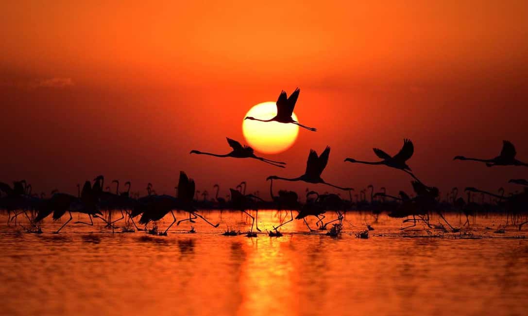 imagem n.10 de Capadócia: excursão incrível ao pôr do sol no Lago Salgado atividade em Turquia, carregada pelo fornecedor