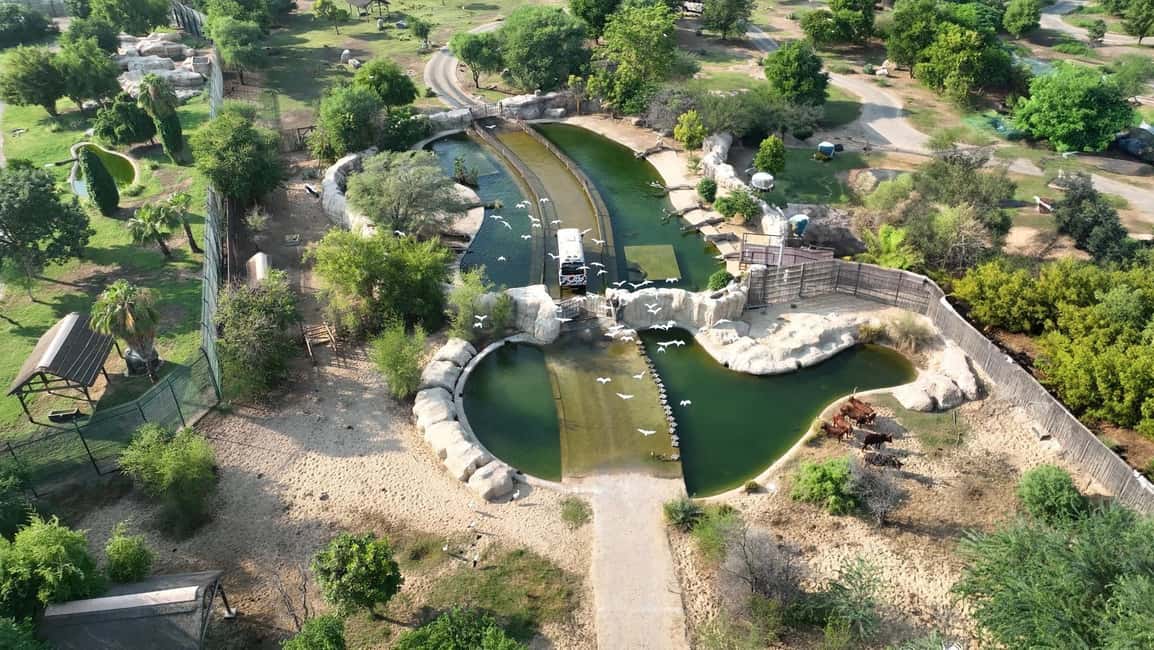 image n.6 of Dubai: Dubai Safari Park Entry Pass activity in Dubai, uploaded by supplier