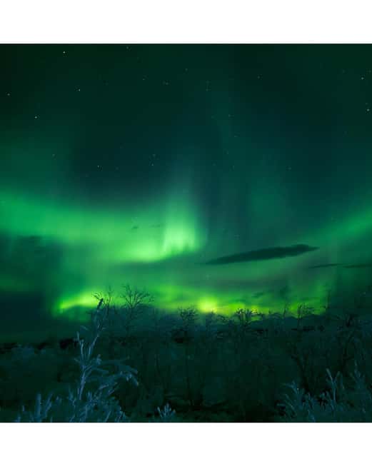 Bild Nr. 3 von Kiruna: Nordlicht-Tour mit Stejk Street Food Dinner Aktivität in Norrbotten, hochgeladen vom Anbieter