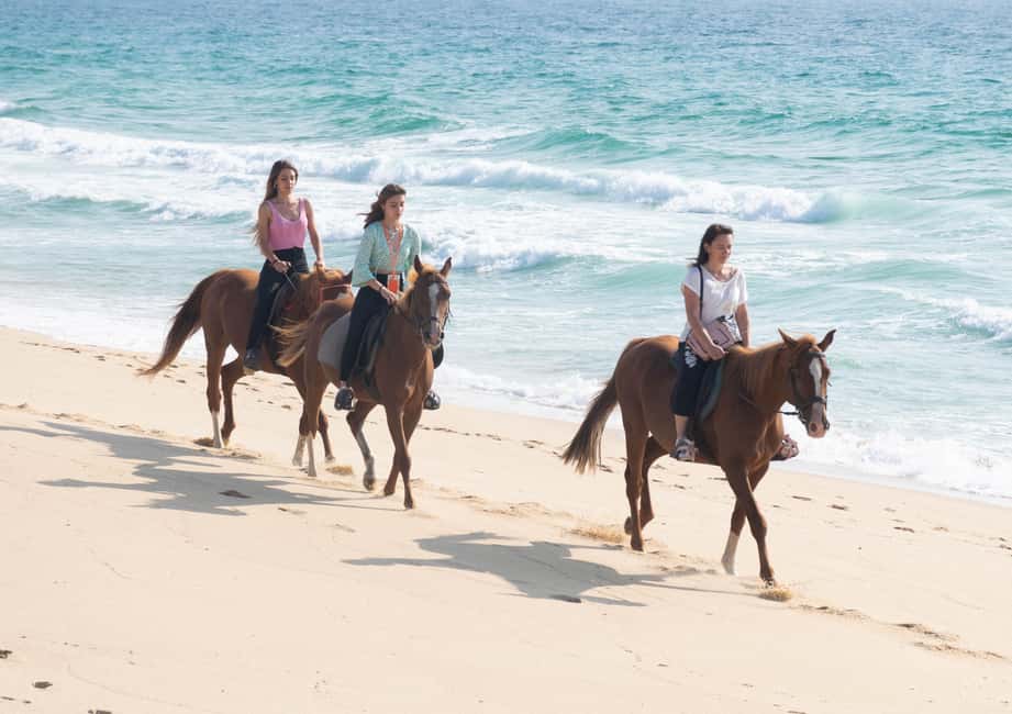 imagem n.9 de Melides: Passeios a cavalo na praia de Melides atividade em Melides, carregada pelo fornecedor