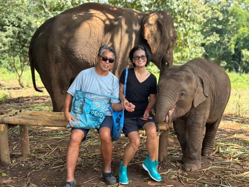 image n.49 of Chiang Mai: Elephant Sanctuary & Waterfall Group Tour activity in Chiang Mai, uploaded by supplier