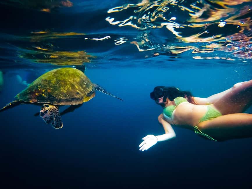billede nr.6 af aktiviteten Ko Tao: Snorkeltur for senvågnere med frokost og fotos i Thailandbugten, uploadet af udbyder