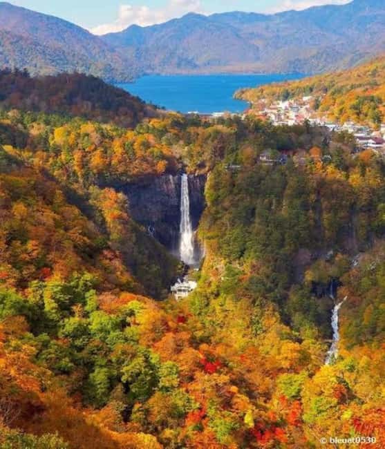 Immagine nº 8 di Tour privato di un giorno di Nikko in auto con autista inglese attività a Nikkō, caricata dal fornitore