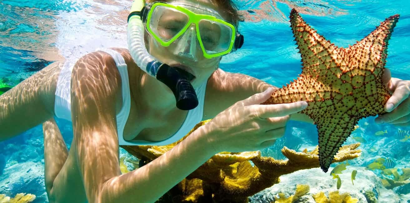 image n.50 of Hurghada: Giftun Island with breakfast, lunch & Water Sports activity in Red Sea Governorate, uploaded by supplier
