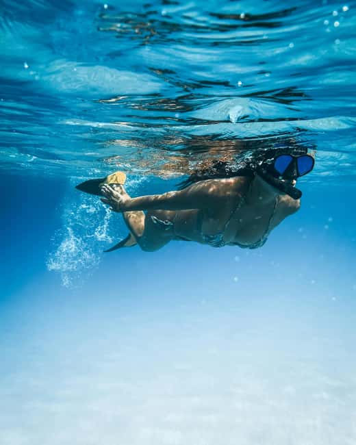 image n.6 of Mombasa: Wasini Dolphin Tour activity in Central Kenya, uploaded by supplier