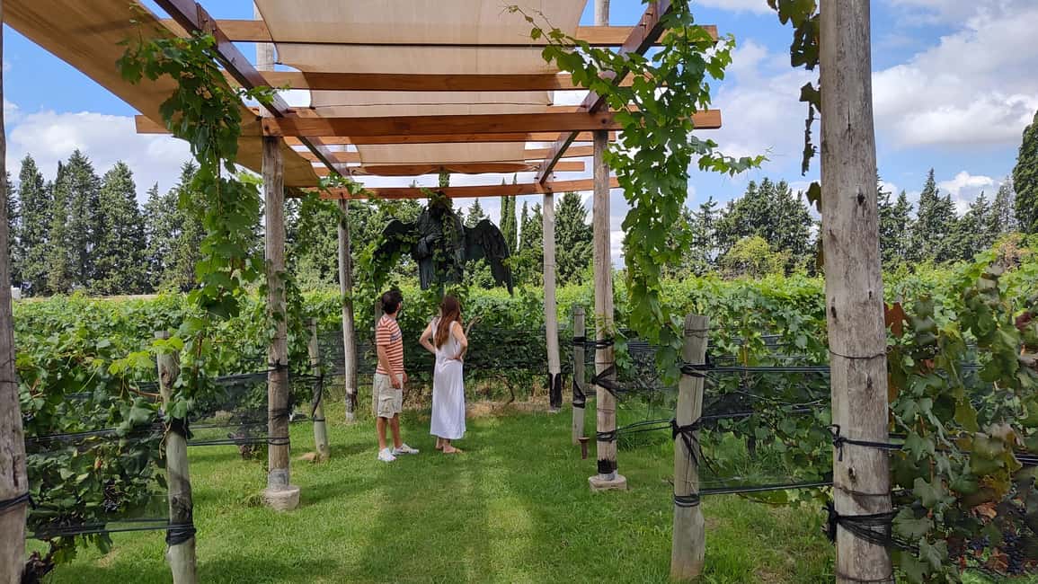 image n.8 of Mendoza's top wineries! Semi-private tour activity in Tupungato, Mendoza, uploaded by supplier