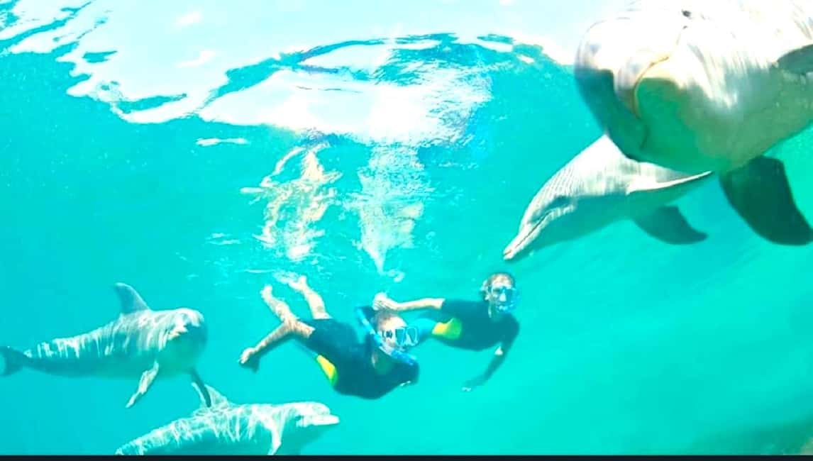 image n.10 of Black River: Swim with Dolphin Speed Boat Tour with lunch activity in Mauritius, uploaded by supplier