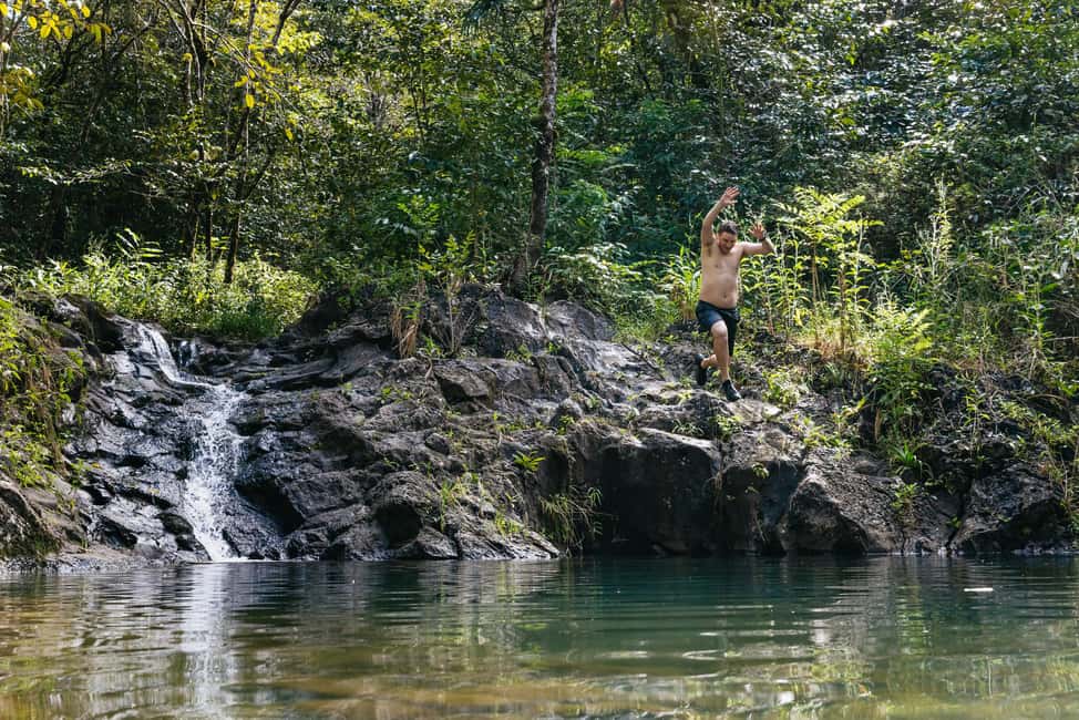 image n.9 of Maui: Rainforest Waterfalls Guided Hike with Picnic Lunch activity in Haiku, Hawaii, uploaded by supplier
