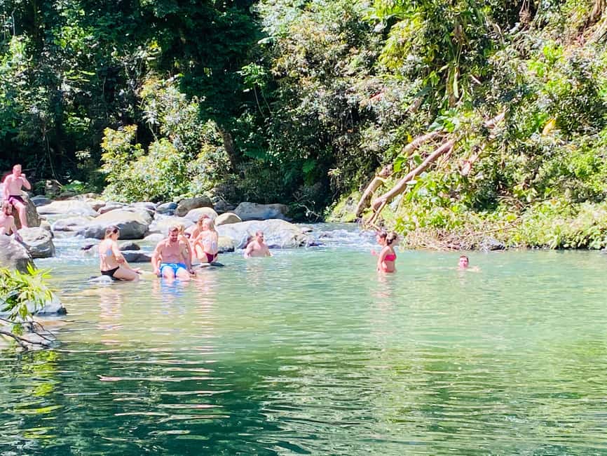 billede nr.7 af aktiviteten San Juan: Guidet tur i El Yunque-regnskoven i Río Grande, Puerto Rico, uploadet af udbyder