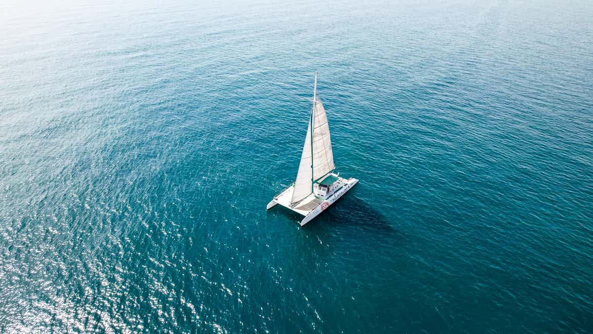 image n.4 of Valencia: Catamaran Cruise with Sunset Option activity in Valencia, uploaded by supplier