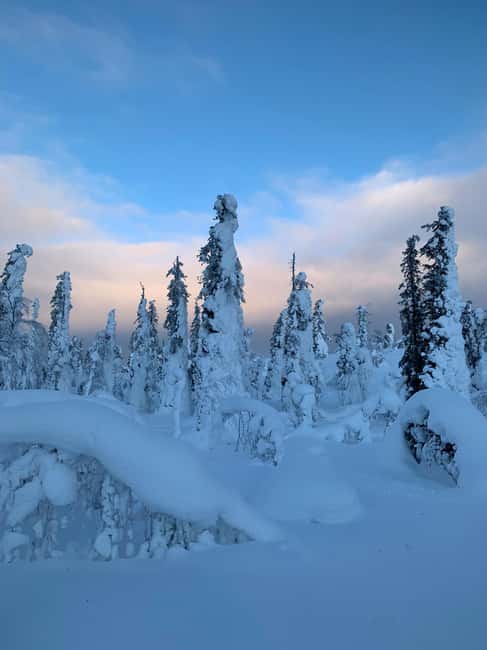 billede nr.10 af aktiviteten Levi Wilderness Twilight Adventure i Sirkka, uploadet af udbyder