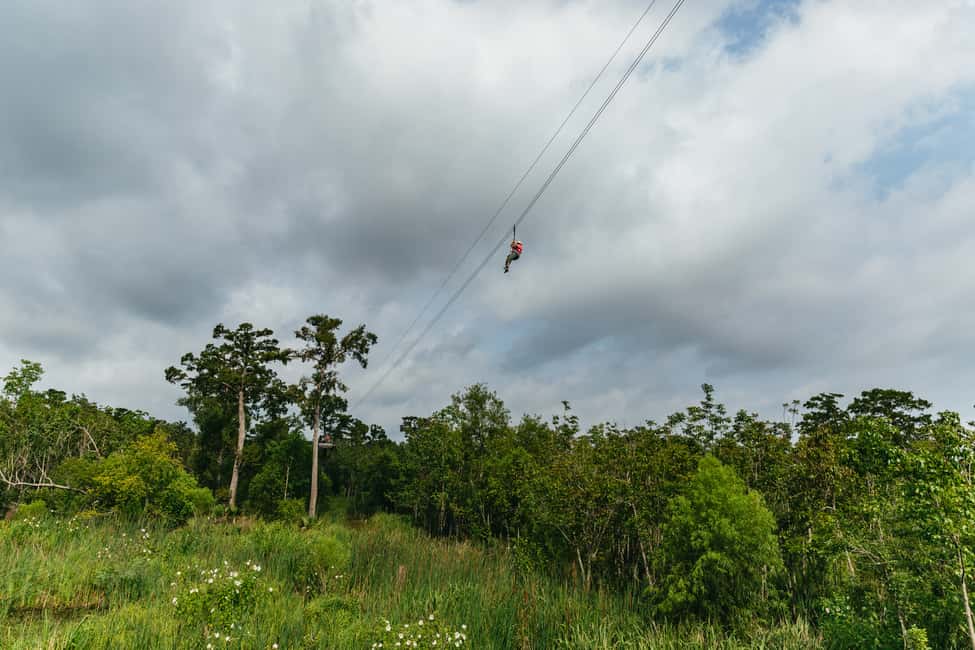 Immagine nº 12 di New Orleans: tour della zipline della palude attività a Louisiana, caricata dal fornitore