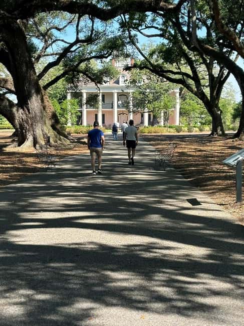 Immagine nº 3 di New Orleans: Oak Alley Plantation e tour della città di Katrina attività a Vacherie, Louisiana, caricata dal fornitore