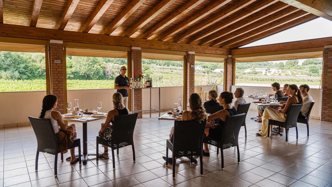 image n.2 of Bardolino: Vineyard Tour with Wine, Olive Oil & Food Tasting activity in Lombardy, uploaded by supplier