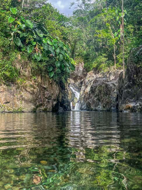 image n.18 of San Juan: El Yunque Half-Day Guided Tour with Transportation activity in Río Grande, Puerto Rico, uploaded by supplier