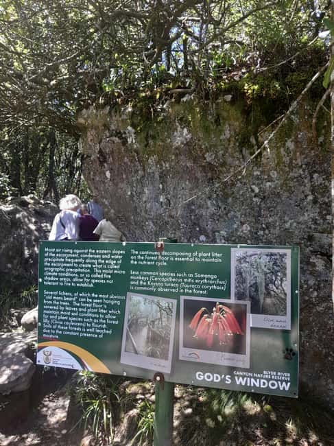 imagem n.42 de Parque Nacional Kruger: Excursão de 4 dias para o melhor safari atividade em Pilgrim's Rest, África do Sul, carregada pelo fornecedor