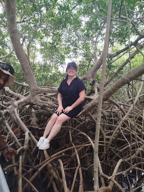 image n.21 of Cartagena: Private Sail in the mangrove GUIDE in ENGLISH activity in Cartagena, uploaded by supplier