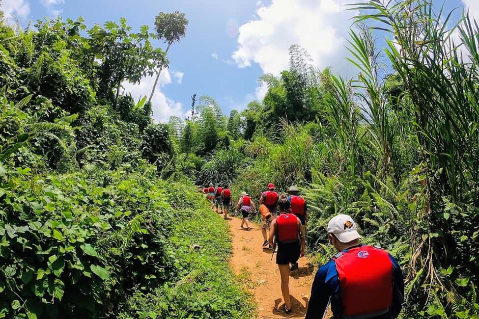 billede nr.20 af aktiviteten San Juan: El Yunque og Bio Bay heldagstur med transport i Río Grande, Puerto Rico, uploadet af udbyder