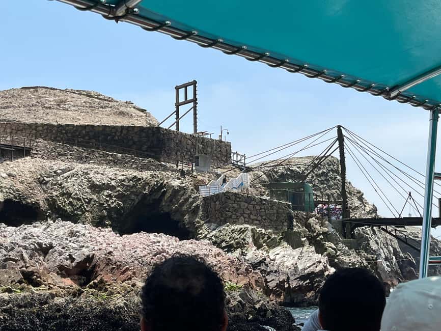 afbeelding n.14 van Vanuit Ica of Huacachina: Ballestas-eilanden en Nationaal Reservaat Paracas. activiteit in Ica Regio, geüpload door aanbieder