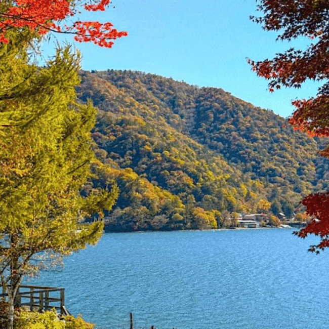 Immagine nº 5 di Tokyo: Tour privato imperdibile di Nikko, patrimonio dell'umanità dell'Unesco attività a Nikkō, caricata dal fornitore