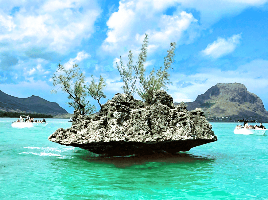 image n.6 of Black River: Swim with Dolphin Speed Boat Tour with lunch activity in Mauritius, uploaded by supplier