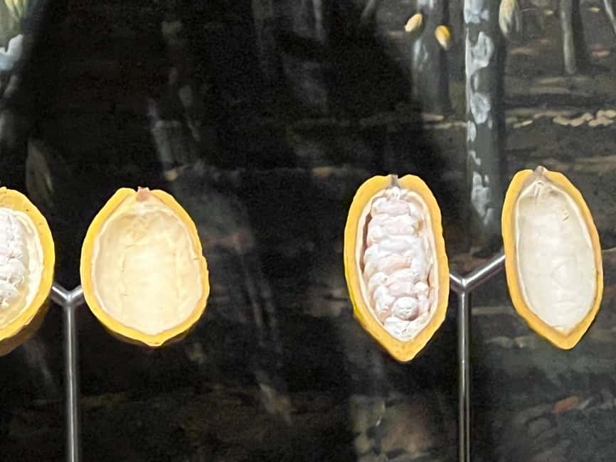 imagen n.º 19 de Safari suizo de chocolate actividad en Lucerna, subida por el proveedor