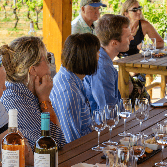image n.3 of From Albufeira: Full-Day Wine Tasting Tour with a Guide activity in Monchique, uploaded by supplier